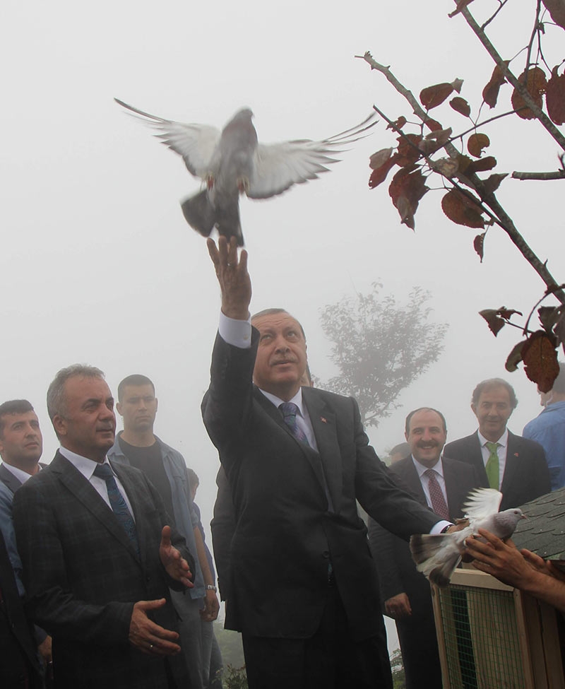 Rize'de Cumhurbaşkanı Erdoğan'ın başına keklik kondu 7
