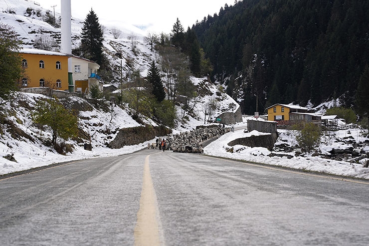 Rize’nin karlı yaylalarından kartpostallık görüntüler 5