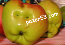 İnsan yüzüne benzeyen elmalar