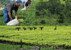 Kayıt dışı istihdam toplantısı