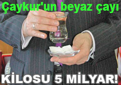 Çaykur'a BEYAZ ÇAY prestiji