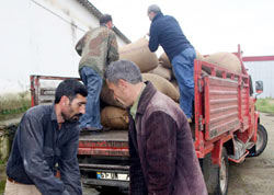 Fındık alımları sıkıntılı başladı