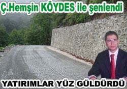 Çamlıhemşin KÖYDES'le coştu