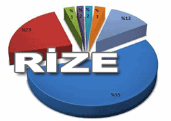 Rize'de SEAR anket sonuçları