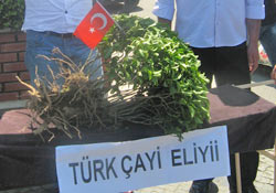 Çay üreticilerinden protesto