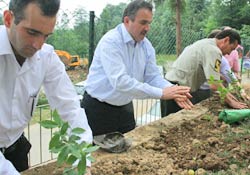 Düğünlerde çiçek yerine likapa!