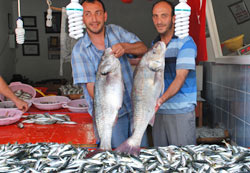 Balıkçı tezgahları şenlendi