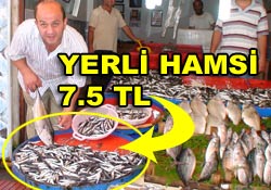 Karadeniz hamsisi tezgahta 7,5 TL