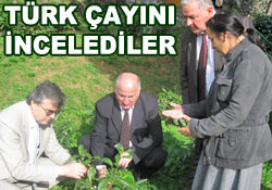 Gürcüler, çay ve Çaykur'u inceledi