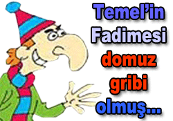 Domuz gribinin Laz fıkrası da çıktı!