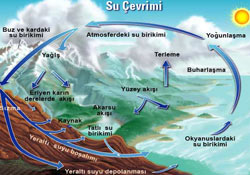 'Su Meclisi' Rize'de toplanıyor