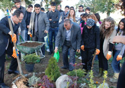 Pazar'ın siyasetçileri fidan dikti