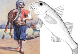 Karadeniz'de balık avcılığı tarihi