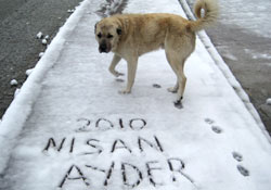 Ayder'e Nisan'da kar sürprizi