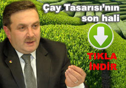 İşte çay tasarısının son hali