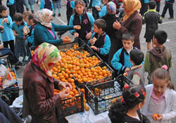 İşte, Rizelinin yerli malı haftası