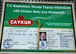 Başbakan da çay müstahsiliymiş