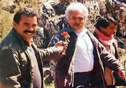 Perinçek SEZER'den ne istedi?