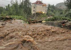 RİZE'DE KOMŞULUK ÖLMEDİ