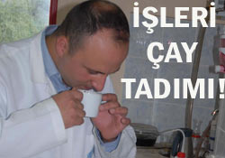 Çay tadımcıları işe başladı!