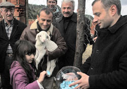 OF KAYMAKAMLIĞI KOYUN DAĞITIYOR