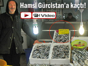 Hamsi Karadeniz'i terketti, fiyatlar fırladı