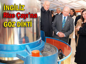 İngiliz Büyükelçisi Rize'de çayı inceliyor!