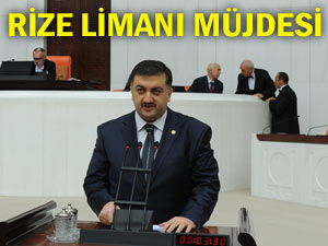 Rize Limanı'ndan orman ürünleri ithaline izin