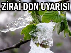 Rize için zirai don uyarısı yapıldı