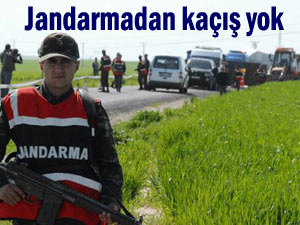 Jandarma bir haftada 14 hırsız yakaladı