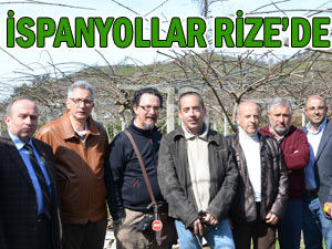 İspanyollar Ardeşen'de Rize kivisini inceledi