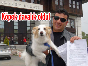 Pazar'da köpek mahkemelik oldu!