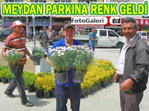 Pazar Meydan Parkı yeşillendiriliyor