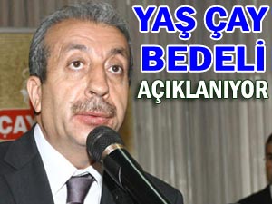 Bakan Eker, çay fiyatını açıklamak için geliyor