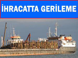 D. Karadeniz’in ihracat miktarında düşüş, gelirinde artış