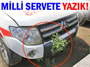 RİZE'DEKİ AMBULANSLARDA OT YETİŞİYOR!