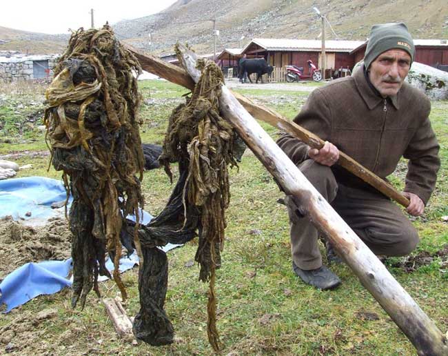 Kurban’ın midesinden 30 kilo plastik çıktı