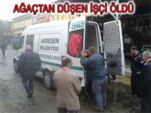 Ardeşen'de Çaykur işçisi ağaçtan düşerek öldü!