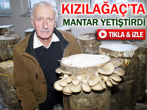 Pazar MYO, kızılağaçta kayın mantarı yetiştirdi