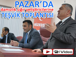 Damızlık hayvan yetiştiricilerine süper teşvik