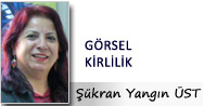 ŞÜKRAN YANGIN ÜST: GÖRSEL KİRLİLİK