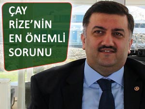 Karal, çay ve Çaykur'un şifrelerini verdi!