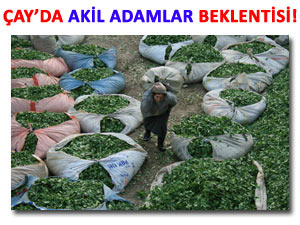 Çaykur'a da 'akil adamlar' heyeti mi atanmalı?