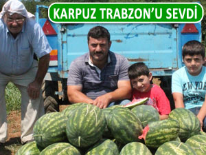 TRABZON KARPUZU PİYASAYA NAM SALDI!