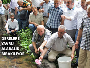 ALABALIKLAR DERELER İLE BULUŞUYOR