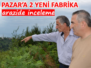 Pazar'da yeni çay fabrikası için yer aranıyor