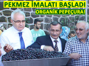 Rize'de organik pekmez imalatına başlandı