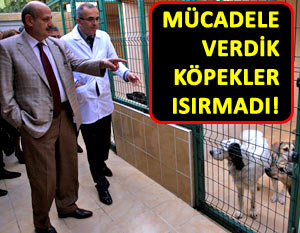 Benim dönemimde hiçbir köpek adam ısırmadı!