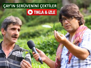 TRT 'Fazla Mesai' yaptı, Rize'de ÇAY'ı çekti!