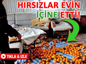 Hırsızlar, eşya bulamayınca evin ortasına etti!